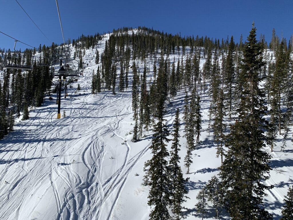 View from Pioneer lift

