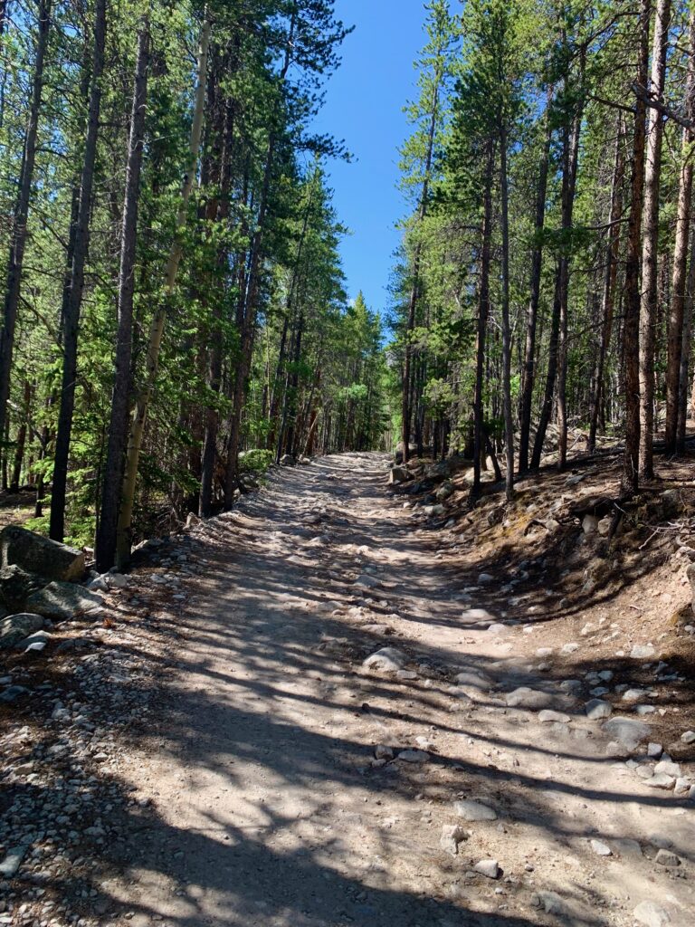 Mt. Antero Tour Road
